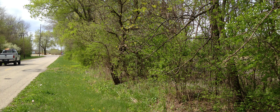 Wooded Areas of Wauponsee Township